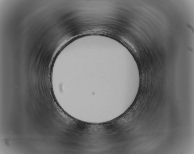 X0000091000800200708241448