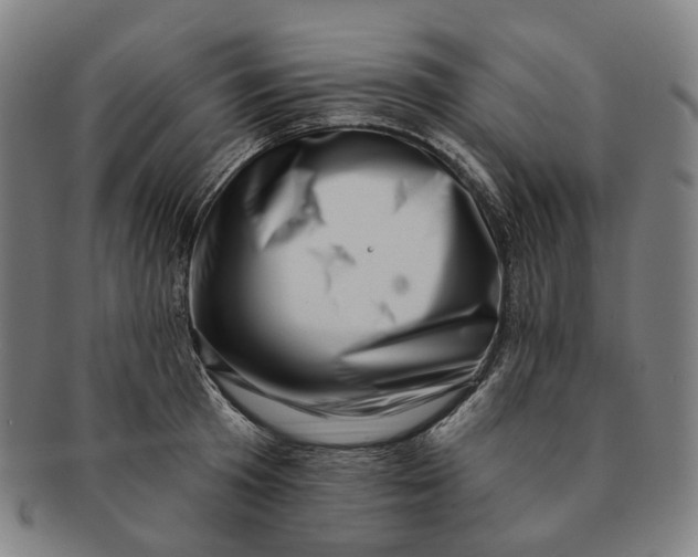 X0000091000801200708241448
