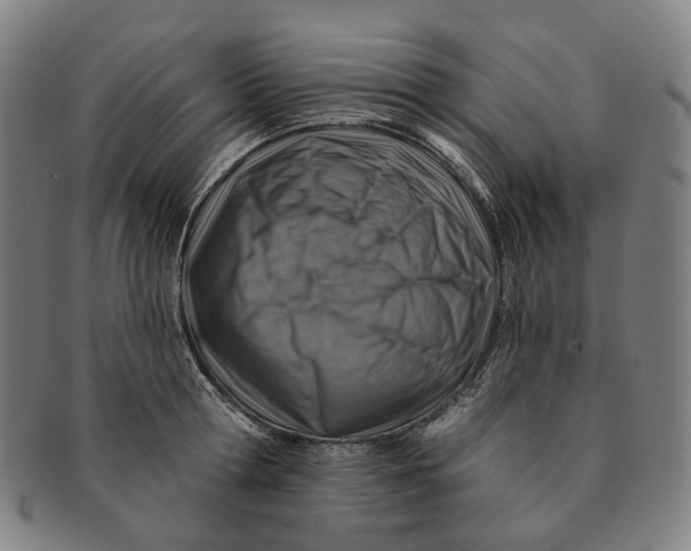 X0000091000802200708241448