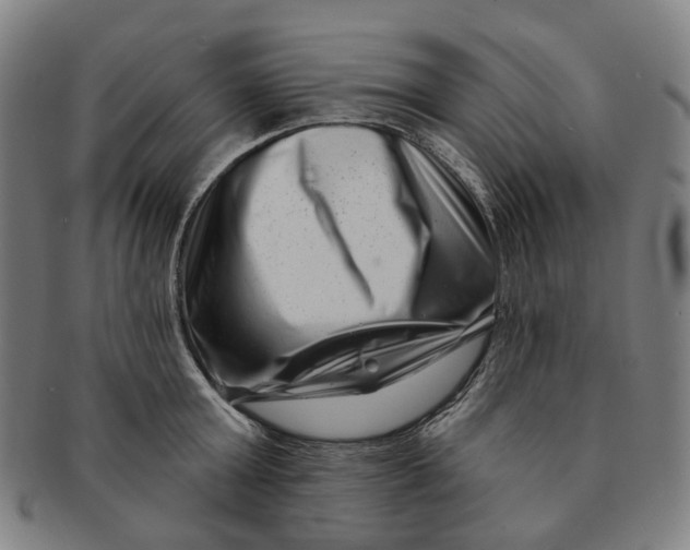 X0000091000803200708241448
