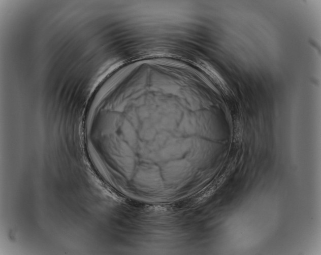 X0000091000806200708241448