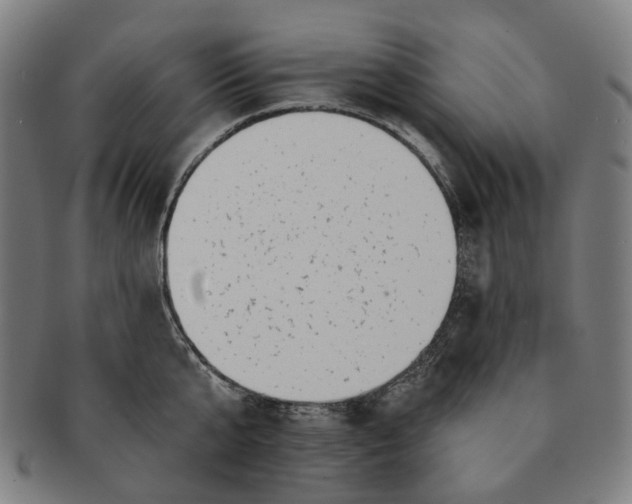 X0000091000807200708241448