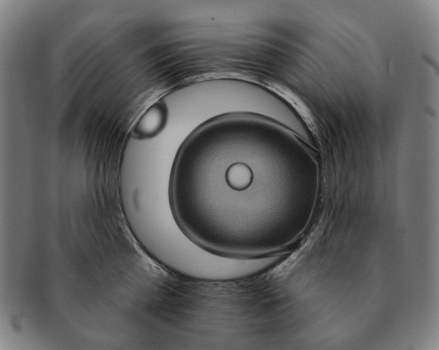 X0000091000809200708241448