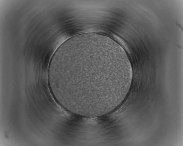 X0000091000810200708241448