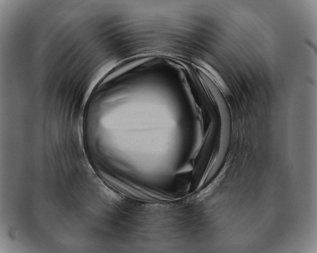 X0000091000812200708241448