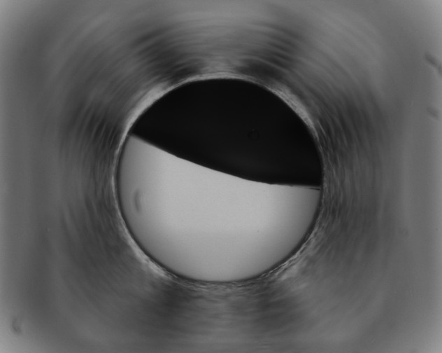 X0000091000813200708241448