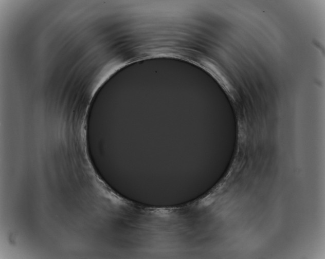 X0000091000814200708241448