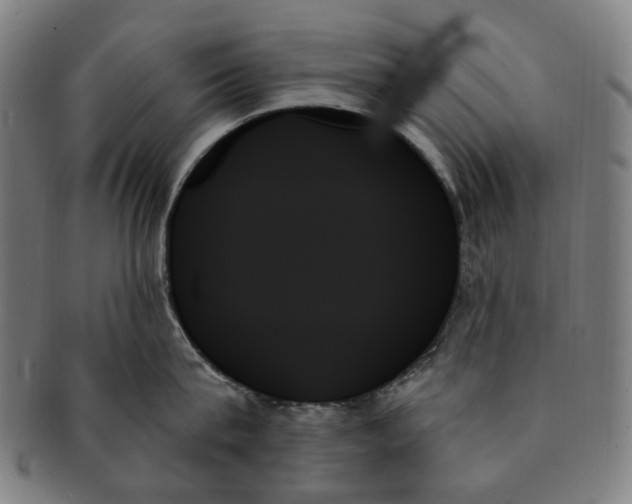 X0000091000815200708241448