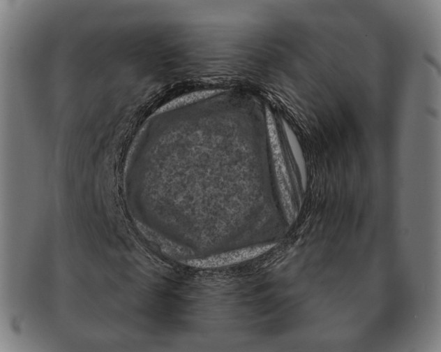 X0000091000817200708241447