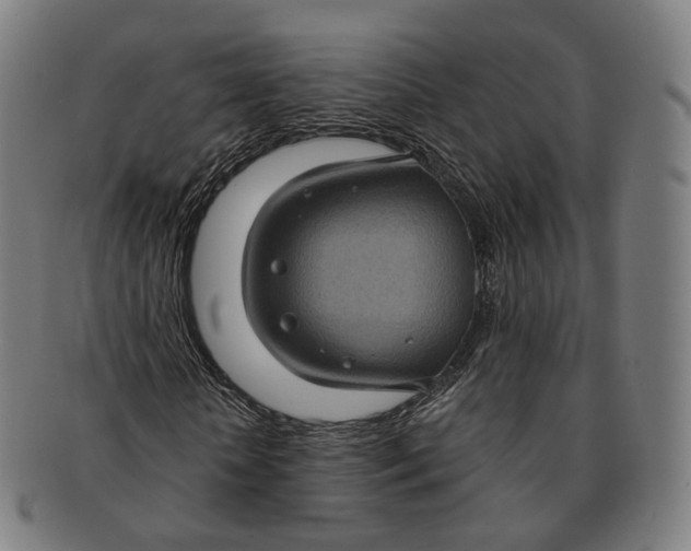 X0000091000818200708241447