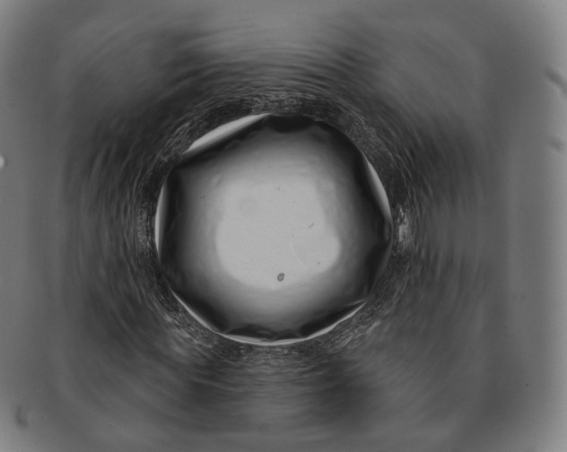 X0000091000819200708241447