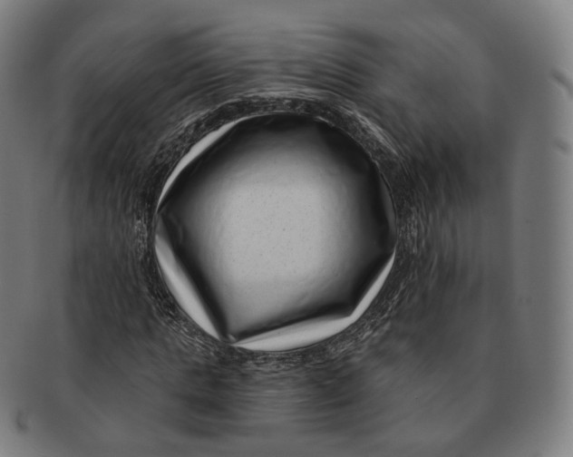 X0000091000821200708241447