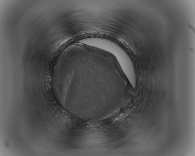 X0000091000822200708241447