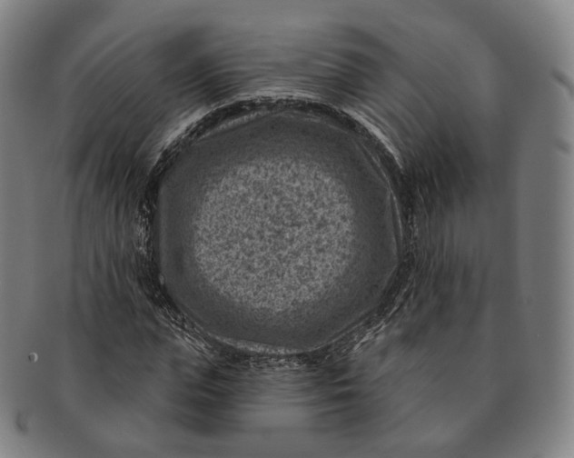 X0000091000823200708241447
