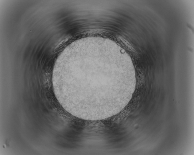 X0000091000824200708241447