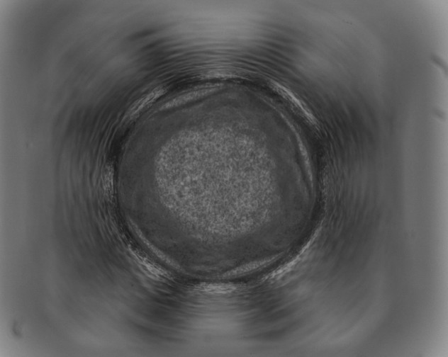 X0000091000825200708241447