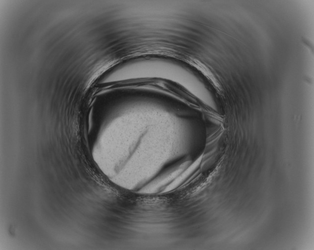 X0000091000826200708241447
