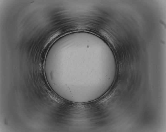 X0000091000827200708241447