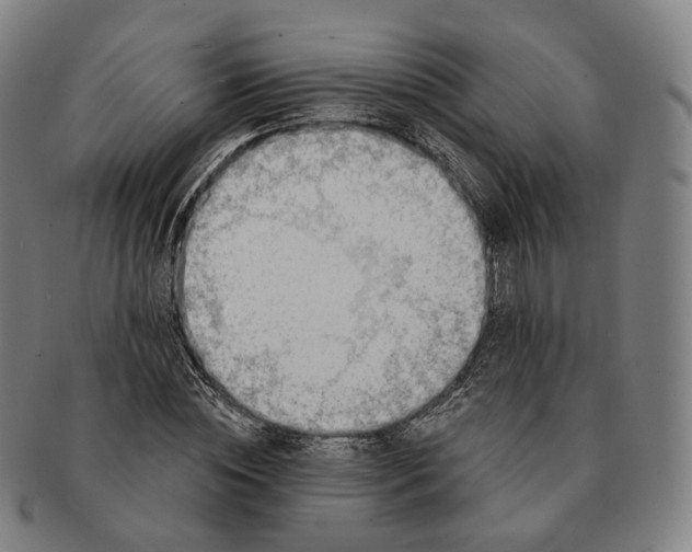 X0000091000828200708241447