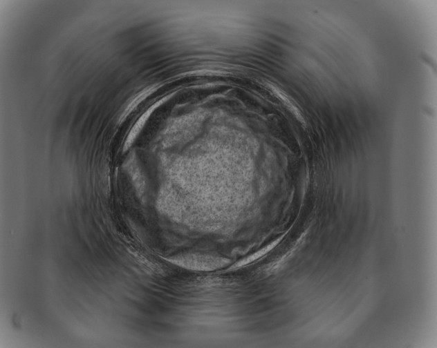 X0000091000829200708241447