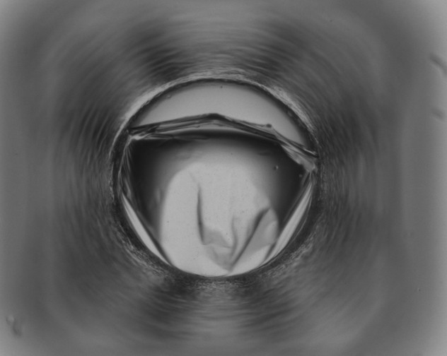 X0000091000830200708241447