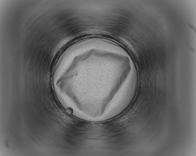X0000091000831200708241447