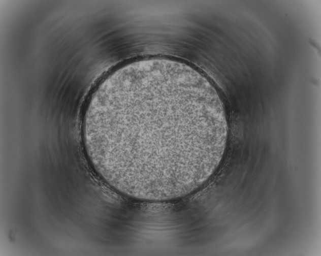 X0000091000832200708241447