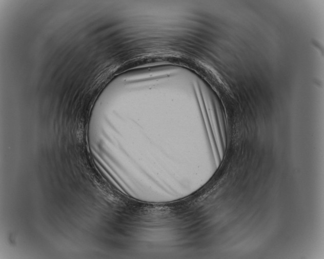 X0000091000833200708241447