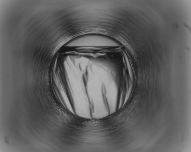 X0000091000834200708241447