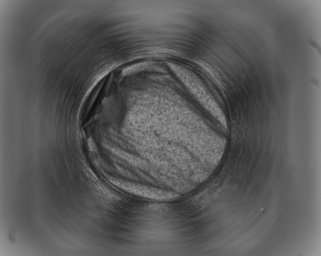 X0000091000835200708241447