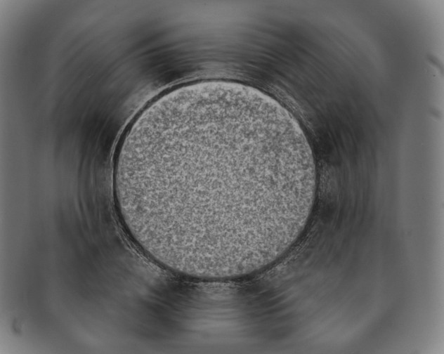 X0000091000836200708241447