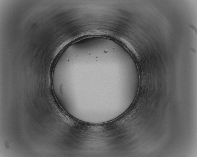 X0000091000837200708241447