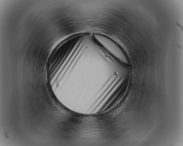 X0000091000838200708241447