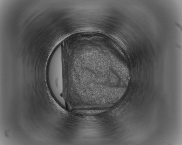 X0000091000839200708241447