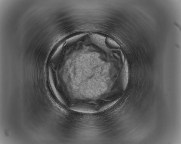 X0000091000840200708241447