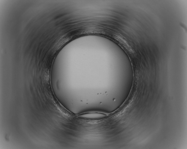 X0000091000841200708241447