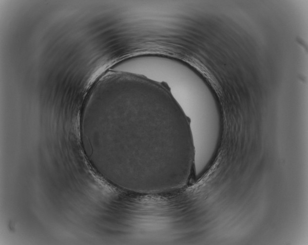 X0000091000842200708241447