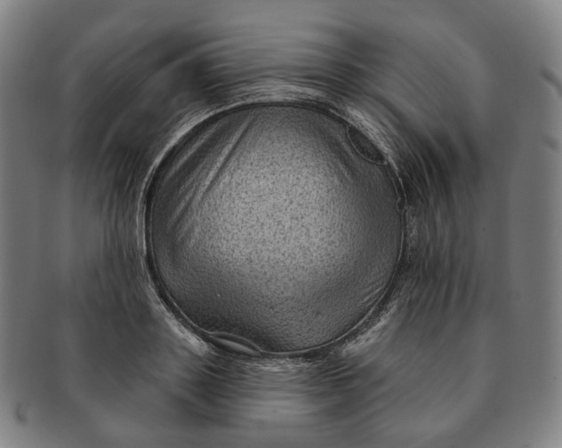 X0000091000843200708241447