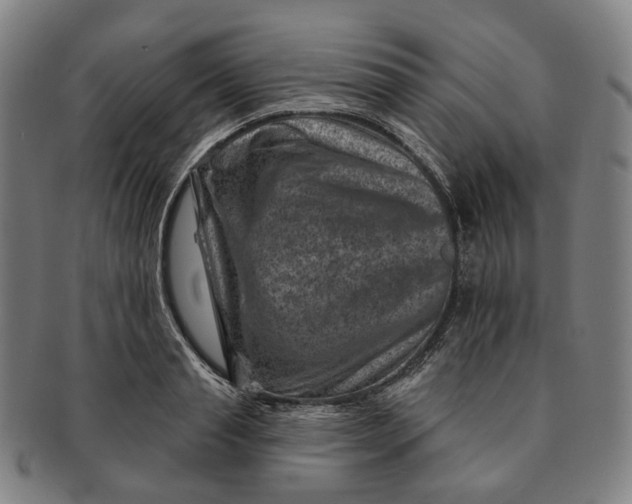 X0000091000845200708241447