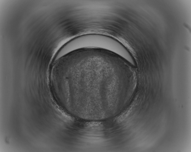 X0000091000846200708241447