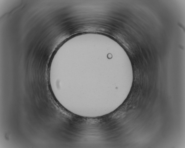 X0000091000848200708241447