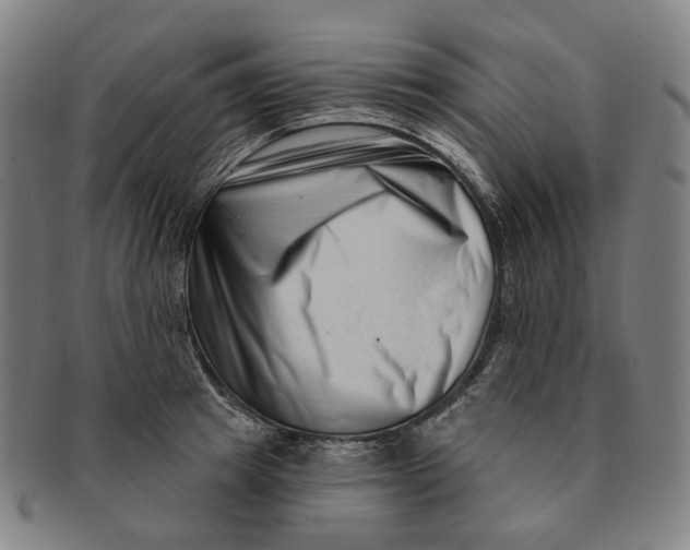 X0000091000849200708241447