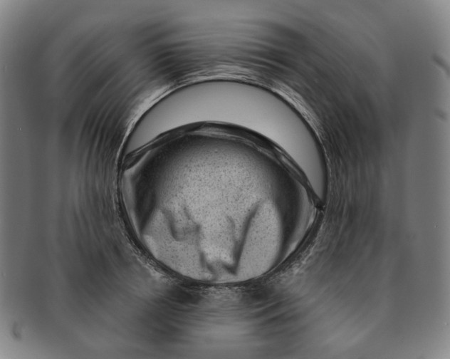 X0000091000850200708241448