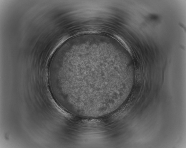 X0000091000851200708241448
