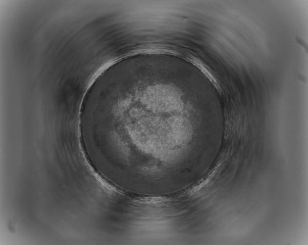 X0000091000853200708241448