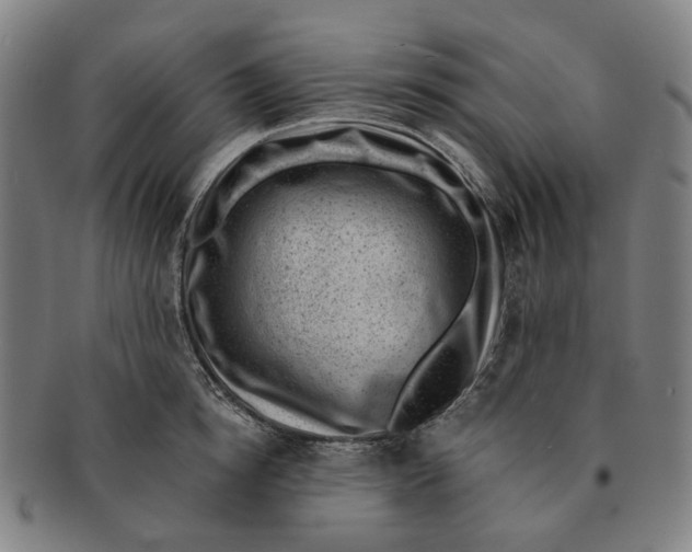 X0000091000854200708241448