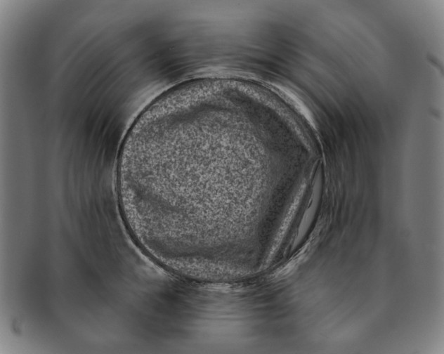 X0000091000855200708241448
