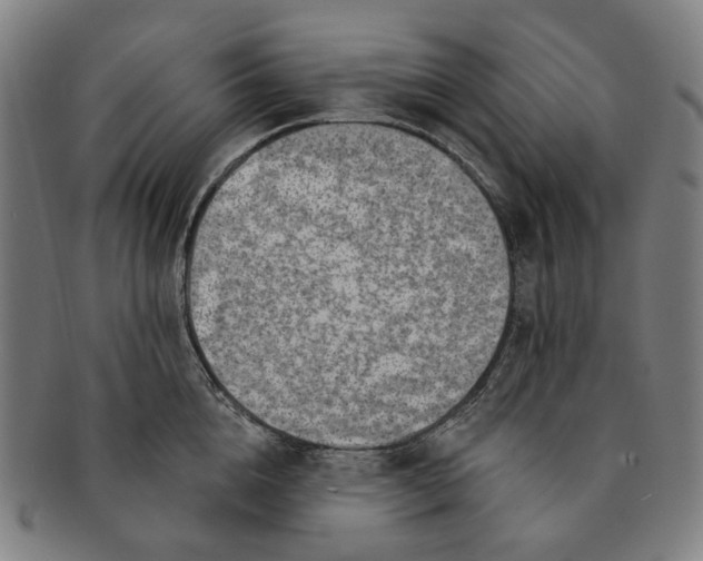 X0000091000856200708241448