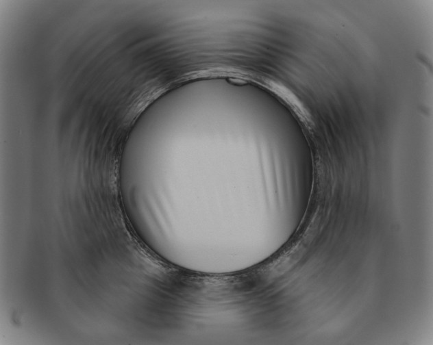 X0000091000857200708241448