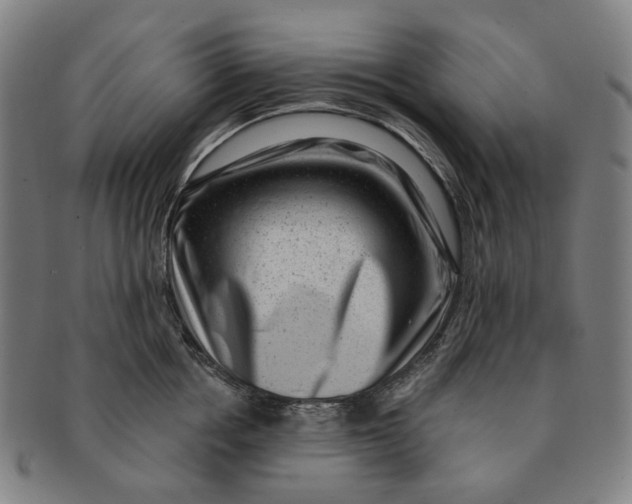 X0000091000858200708241448